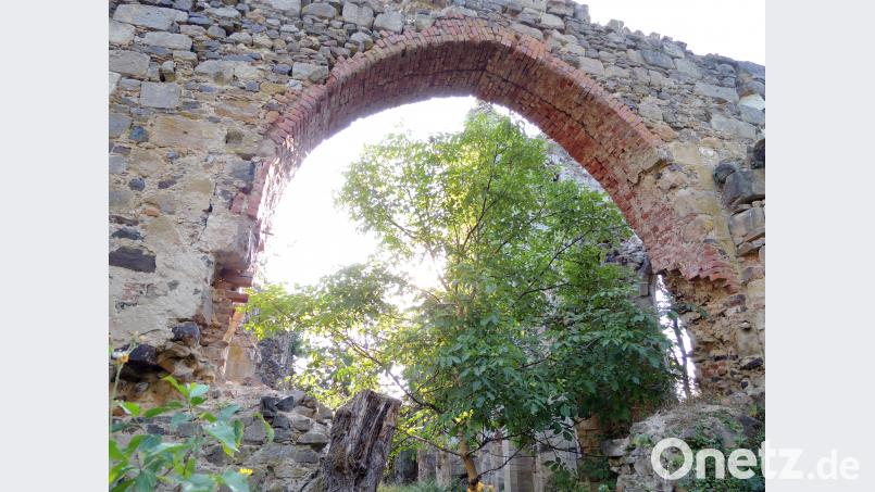 Ein Wallnussbaum wächst unter dem noch stehenden Eingangsbogen mitten im Kirchenraum gegen Himmel. mor