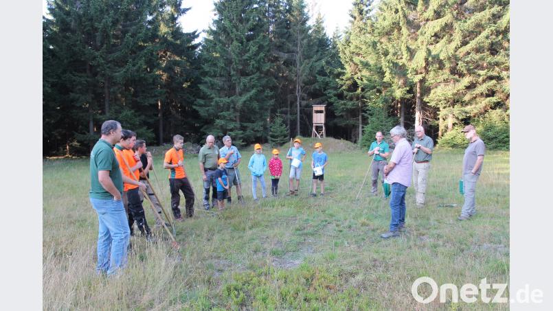 Forstdirektor Stefan Bösl (Zweiter von rechts) freute sich wie sein Stellvertreter Ingo Greim (rechts), Toni Wolf vom Bund Naturschutz (Dritter von rechts) und Thomas Parton (links) über den Eifer der Kinder bei der Arnika-Pflanzaktion der Bayerischen Staatsforsten.
Bild: pi pi
