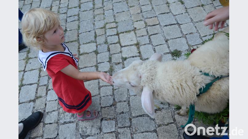 Keine original Oberpfälzer Brauchtumskirwa ohne Bätzn-Kontakt. Bild: mag