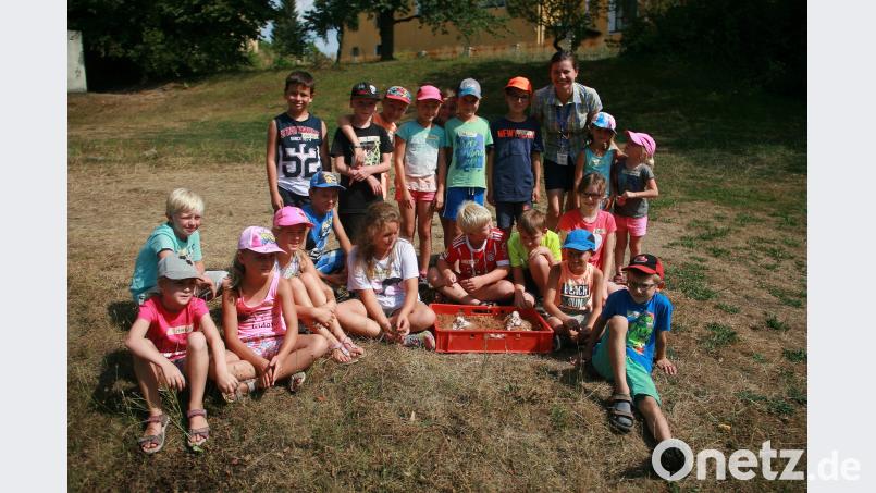 Die Spannung steigt. „In wenigen Augenblicken wird der Mini-Vulkan ausbrechen“, verspricht Geopark-Rangerin Angela Scharnagl (oben rechts) ihren Experimentier-Teilnehmern. wro