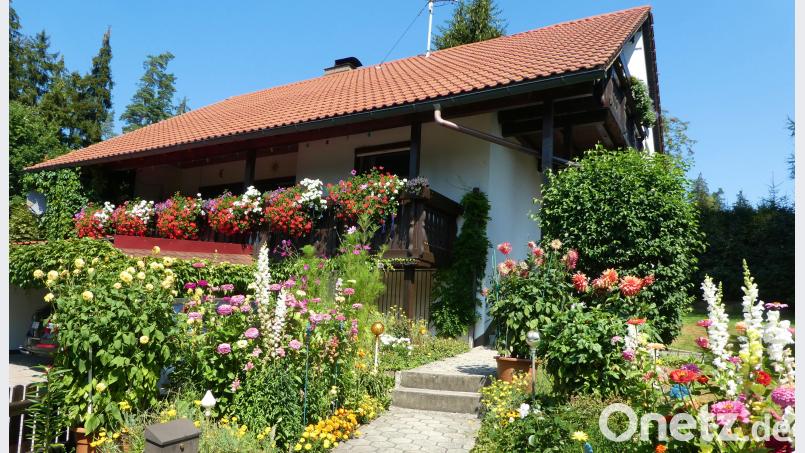 Familie Franzke bewies trotz des trockenen Sommers einen besonders grünen Daumen. Die üppige Pflanzen- und Blütenpracht am und um ihr Anwesen erhielt von der Jury die höchste Punktzahl des Blumenschmuckwettbewerbs in der Gemeinde Nagel. Gemeinde Nagel