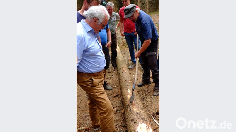 In einem Waldstück zwischen Neusath und Mitteraich stieß Reinhard Kreußel bei einer Begehung auf ein Borkenkäfernest. Auf einer Fläche von rund 1500 Quadratmetern mussten 45 für Fichten geschlagen werden. Der Geschäftsführer (rechts) der Waldbesitzervereinigung (rechts) entfernte an einem Beispielbaum mit einem Schäleisen Rindenteile und demonstrierte den deutlichen Befall auf der Innenseite der Borke. ohr