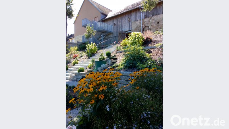Der Garten blüht auf. hev