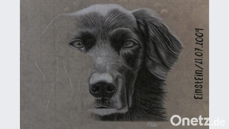 „Messerscharfer“ Einstein von Felix Müller. tr