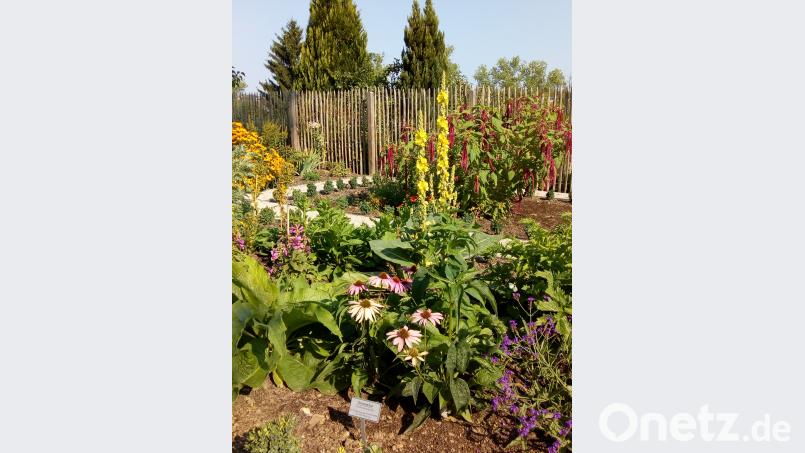 Der Garten blüht auf. hev