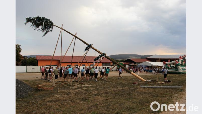 Am Samstag stellte die „Herrngass“ mit ihren Helfern den Kirwabaum auf. Bild: ral