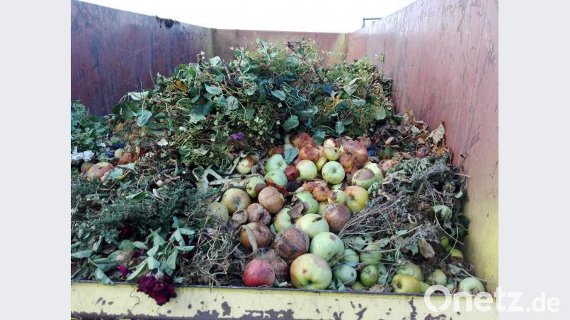 Häufig landet Obst im Grüngutcontainer. Die Masse an Früchten wird vielerorts nicht gebraucht. Bild: Stephanie Hladik