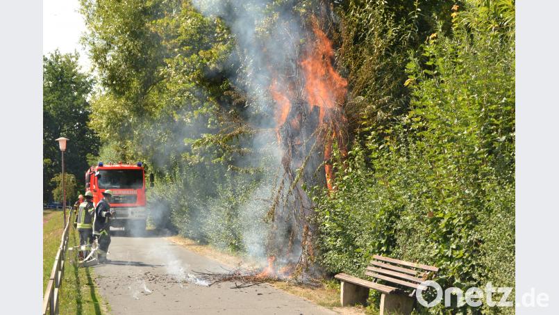 Ein Weidenbaum steht zwischen Stadtbad und Kepler-Sportplatz in Flammen. Bild: hcz