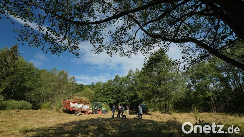 Mitglieder des Bund Naturschutz auf den Biotop-Wiesen am Südhang des Teichelbergs. Bild: exb