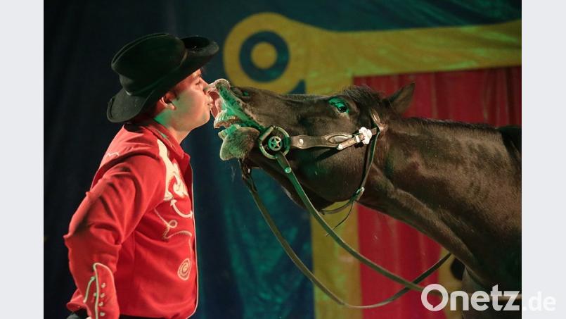 Spezialität des Circus Henry sind prächtige, zeitgemäße Tierdressuren, wie beispielsweise mit Cowboy-Pferd Jolly Jumper. Ein sanfter Pferdeflüsterer ist ebenso dabei und beweist in der Zirkus-Show großes Vertrauen zwischen Mensch und Tier. Bild: exb