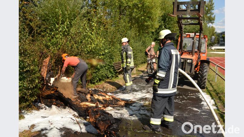 Mit Unterstützung des Bauhofs beseitigen Feuerwehr und Bademeister Andreas Baierl den verkohlten Stumpf der Weide. Bild: hcz