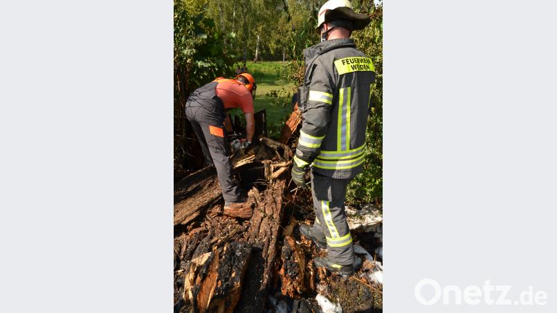 Wo bisher eine stolze Weide stand, klafft nun eine Lücke in der Begrenzung des Stadtbads. Bild: hcz