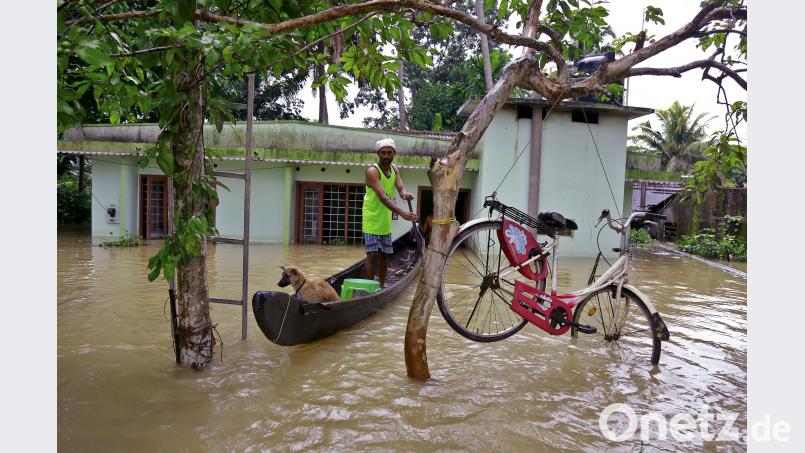 Das Foto stammt aus Alappuzha im indischen Bundesstaat Kerala. Kerala wird seit Anfang August von sintflutartigen Regenfällen heimgesucht, bei denen mindestens 250 Menschen durch Überschwemmungen und Erdrutsche ums Leben kamen. Bild: Tibin Augustine/dpa