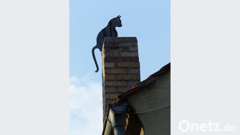 Nettes Detail am &quot;Wohnlöwen&quot;: Vom alten Kamin grüßt zwar kein Löwe, aber eine Katze - wenn auch nur aus Blech. Bild: Völkl