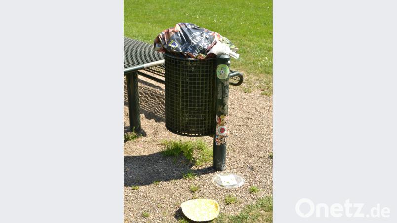 Überquellende Abfallbehälter sind vor allem an hochfrequentierten Badetagen ein Ärgernis. Bild: hcz