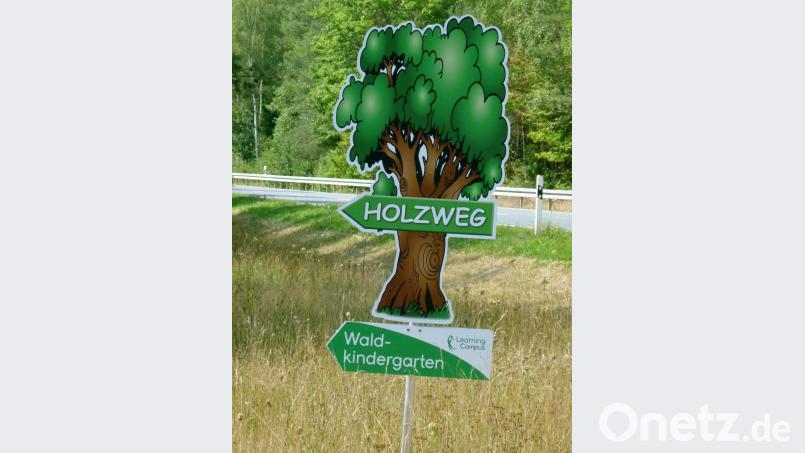 Seit Herbst 2017 betreibt Learning Campus am Holzweg einen Waldkindergarten. Bild: rn
