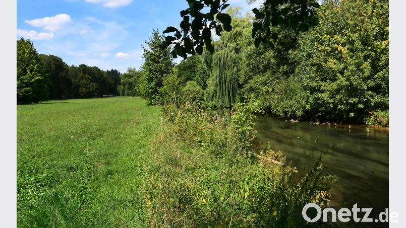 Idylle ohne Menschen. Die Kräuterwiese ist ein beschauliches Stück Amberg. Sie soll mit einem Wettbewerb attraktiver gemacht werden für die Bürger der Stadt. Bild: Petra Hartl