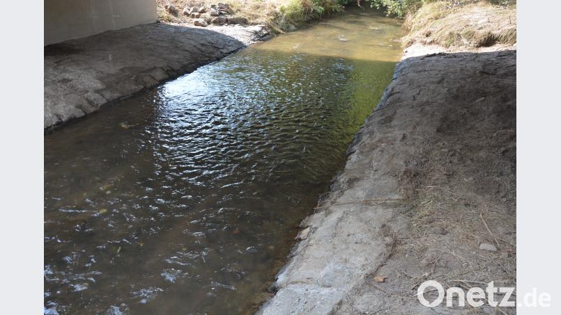 Das Flußbett wurde mit Feldsteinen neu befestigt, so dass die Wondreb nicht die Fundamente der Brücke beschädigen kann. Bild: jr