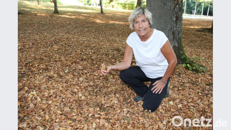 Helga Verron auf dem Mariahilfberg in Amberg. Bild: ads
