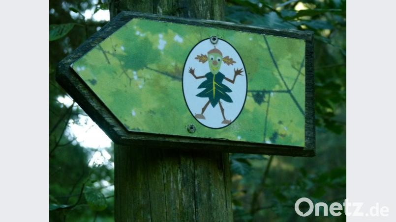 "Holzweg"-Markierung. Bild: rn