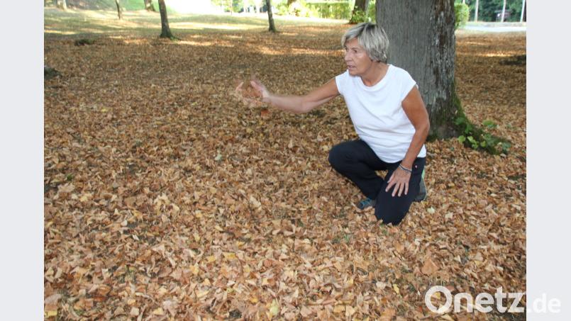 Helga Verron auf dem Mariahilfberg in Amberg. Bild: ads