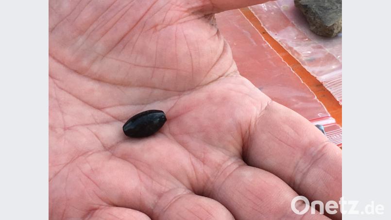 Olivenperle aus schwarzblauem Glas Bild: Held