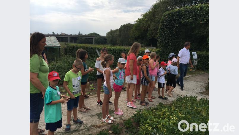 Die Natur kann spannend und unterhaltsam sein, erfuhren die Neusorger Kinder beim Ferienprogramm des Obst- und Gartenbauvereins. Bild: obe