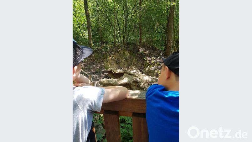 Im Dinopark Denkendorf gab es viel zu entdecken. Bild: exb
