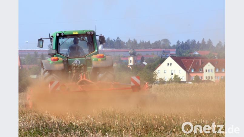 Wenn es bei Erntearbeiten rund um Edelsfeld heuer mehr staubt als anderswo, ist das kein Zufall: In diesem Teil des Landkreises fielen 2018 nicht einmal halb so viel Niederschläge wie im langjährigen Mittel. Bild: Stephan Huber