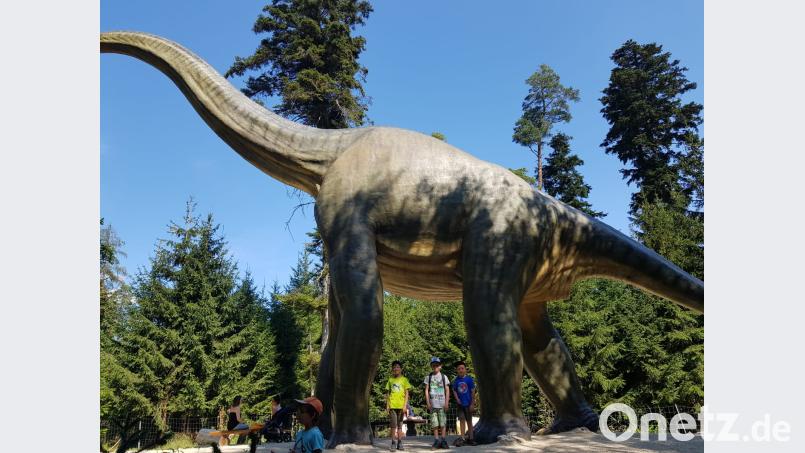 Im Dinopark Denkendorf gab es viel zu entdecken. Bild: exb