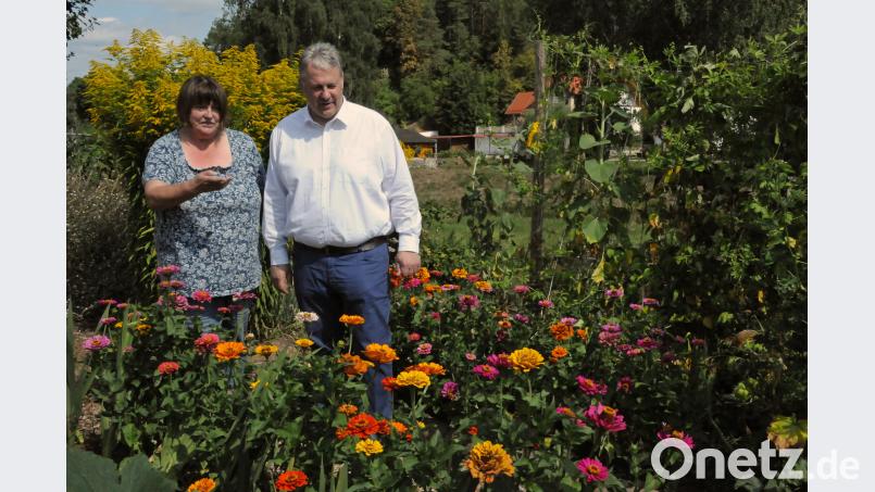 Landrat Richard Reisinger und Irmgard Popp im Garten der Hausenerin, die den Landkreis Amberg-Sulzbach beim Wettbewerb „Bayerns schönster Bauerngarten“ vertritt. Vom Landrat hat Irmgard Popp die Zusicherung, sie bei der möglichen Abstimmung Mitte September zu unterstützen. Bild: Christine Hollederer/exb