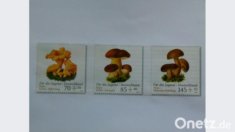 Vorschau auf Schwammerlsaison 2018: Bei der Deutschen Post sind drei neue Pilz-Briefmarken erhältlich. Bild: rn