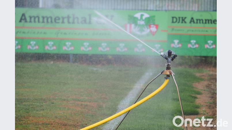 Die Sprinkleranlage läuft bei der DJK Ammerthal aufgrund der langen Trockenheit jeden zweiten Tag von in der Früh bis Abends. In der Nacht wäre es sinnvoller, erklärt Platzwart Reinhold Badura. Aber ein Anwohner hat etwas dagegen. Bild: ref