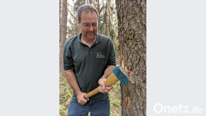 Josef Maier, Geschäftsführer der Waldbesitzervereinigung Eslarn-Vohenstrauß, entfernt die Rinde einer Fichte, um den Borkenkäferbefall zu zeigen. Bild: Konrad