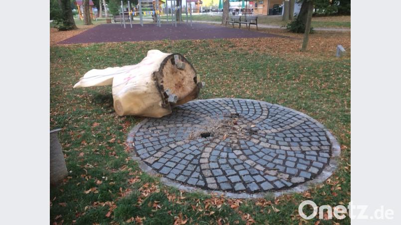 Im Waldershofer Stadtpark haben unbekannte Randalierer in der vergangenen Woche ihr Unwesen getrieben. Sie rissen den Holz-Thron aus seiner Verankerung. Bild: exb