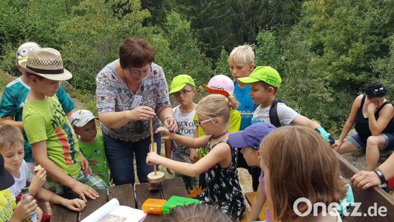 Auf dem Buchberg liegt eine Fliehburg der Kelten. Über diese Volksgruppe der Eisenzeit erzählt AOVE-Kulturführerin Helen Werner erzählt den Kindern während einer Wanderung. Bild: exb