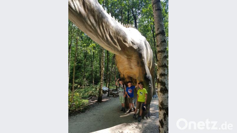 Im Dinopark Denkendorf gab es viel zu entdecken. Bild: exb