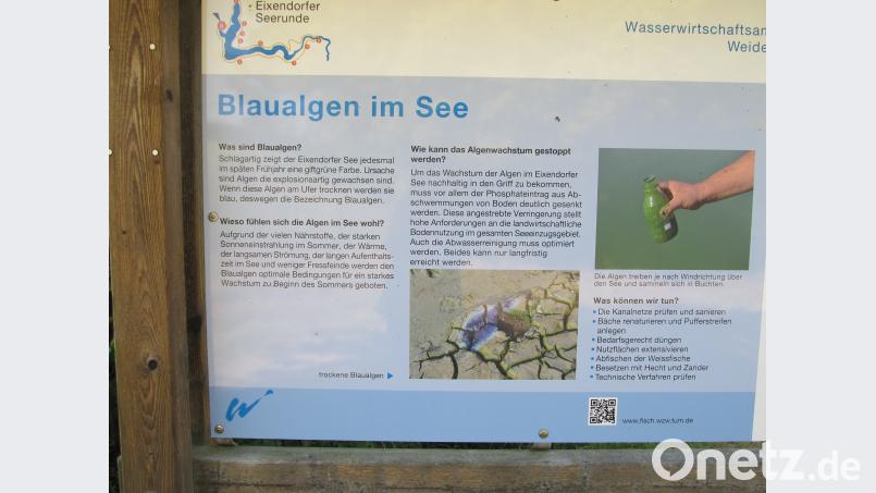 Das Wasserwirtschaftsamt hat am Ufer des Stausees eine Info-Tafel installiert, die auf die Problematik hinweist. Bild: bl