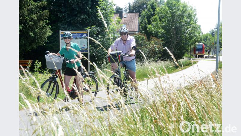 Unzählige Radltouren durch schöne Landschaften oder zu kulturellen Highlights gibt es im Landkreis. Immer noch sehr beliebt ist der Bocklradweg wie hier in Neustadt/WN. Bild: Gabi Schönberger