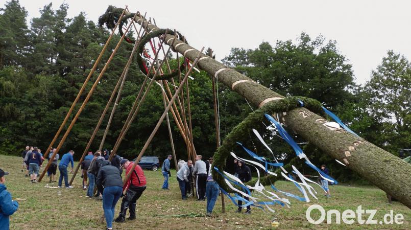 Mit viel Muskelschmalz stellen die Breitenbrunner Burschen und ihre Helfer den Kirwabaum auf. Bild: rlö