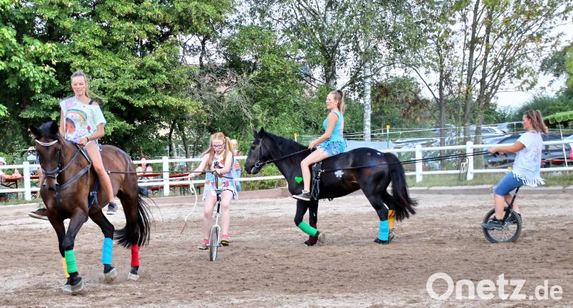 Beim Reiterfest des Reitclubs am Kulm gibt es das ein oder andere Kunststück zu sehen. Bild: hai