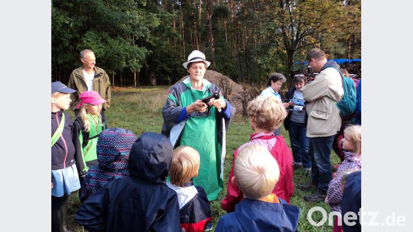 Expertin Brigitte Schütze erklärte den Exkursionsteilnehmern mit Hilfe einer Nachbildung die Anatomie einer Fledermaus. Bild: ksi