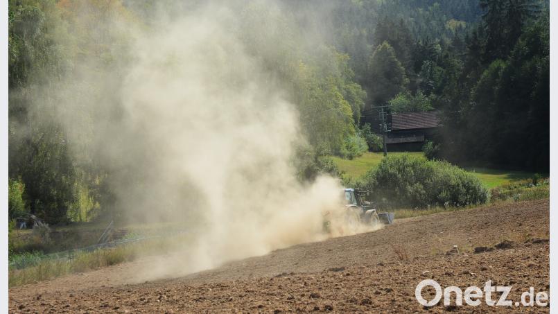 Feldarbeit im Sommer. Bild: Gabi Schönberger