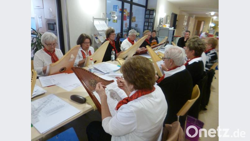 Die Musikerinnen der Veeh-Harfen-Gruppe der Musikschule erfreuen mit Weisen in der Station für Schwerstkranke im Neustädter Krankenhaus. Bild: kwl
