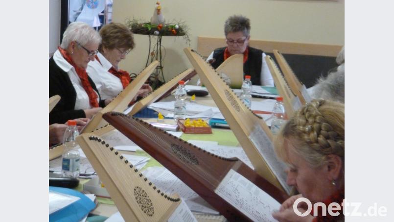 Die Musikerinnen der Veeh-Harfen-Gruppe der Musikschule erfreuen mit Weisen in der Station für Schwerstkranke im Neustädter Krankenhaus. Bild: kwl