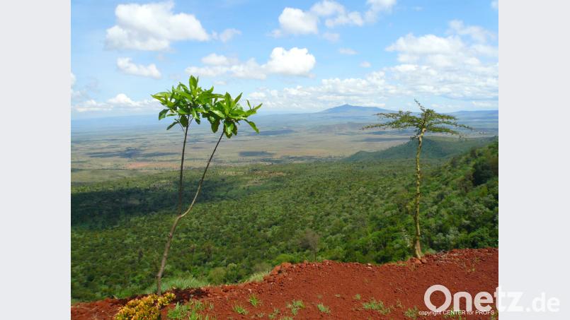 Die Traumlandschaften Kenias können nicht über die Notwendigkeit nachhaltiger Entwicklungshilfe hinwegtäuschen. Bild: Center of Profs