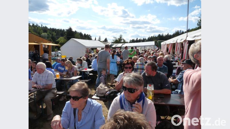 Bei der Kirwa in Breitenbrunn herrscht wie jedes Jahr Massen-Andrang rund um den Kirwabaum. Das Wetter passt am Sonntag ja doch noch. Bild: rlö