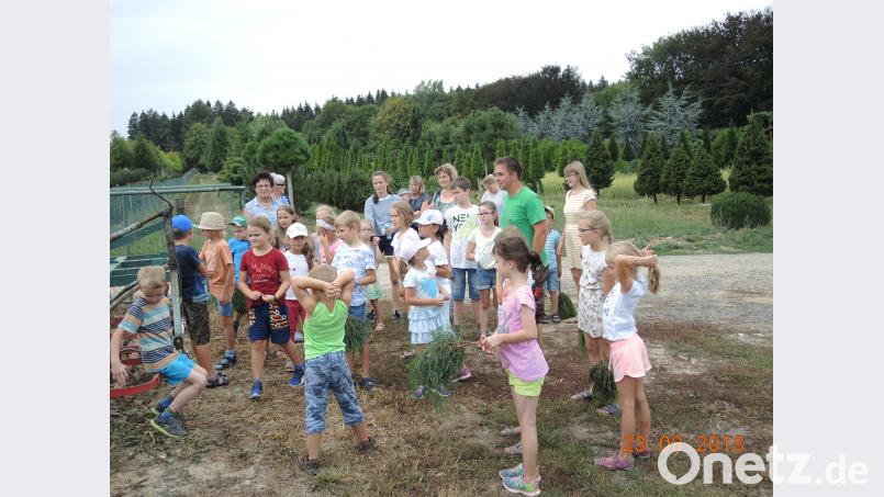 Ferienprogramm Besuch der Baumschule Punzmann Menzlhof. Bild: ils