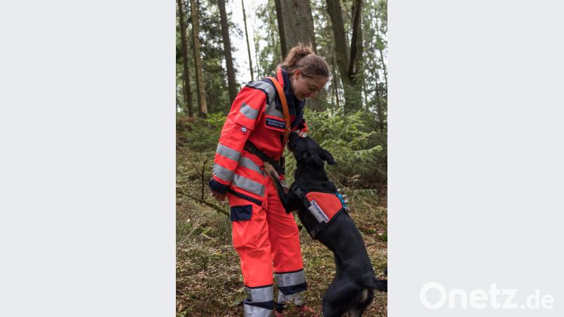 Beim Training zeigt sich, nicht die Hunderasse ist entscheidend: Der Charakter und die Motivation des Tieres sowie die Fachkenntnis des Trainers führen zum Erfolg. Bild: dtr
