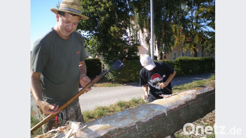 Mit vollem Elan wird der Kirwabaum von Michael Spies bearbeitet. Das war noch bevor das Missgeschick geschieht. Bild: bjo